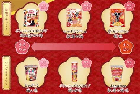 今年もこの季節に「梅味」が続々登場！人気6ブランドの個性あふれる「梅味」商品が2019年1月7日月より順次発売！ 企業リリース 日刊