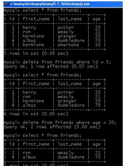 The Sql Delete Statement Basic Usage With Examples