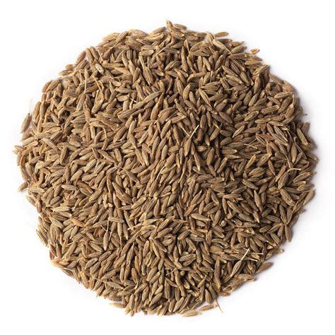 Cumin Seeds | Karya Agro