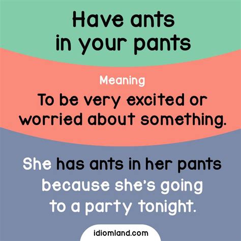 Idiom Of The Day Have Ants In Your Pants Meaning To Be Very Excited