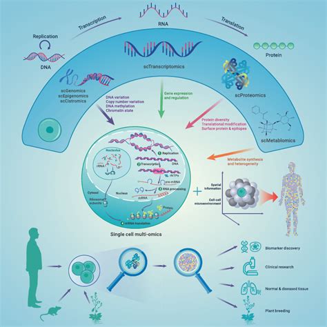 The Single Cell Multi Omics Studies Download Scientific Diagram