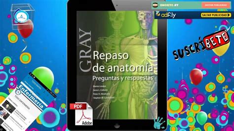 Todo lo que necesitas saber sobre el repaso de anatomía en gris