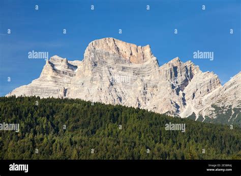 View Of Monte Pelmo With Wood South Tirol Dolomiten Mountains