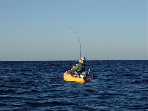 Kayak Fishing on the Florida Gulf Coast - Hunt Fish Cook