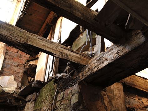 What Is Dry Rot Causes And How To Spot It In Your Home