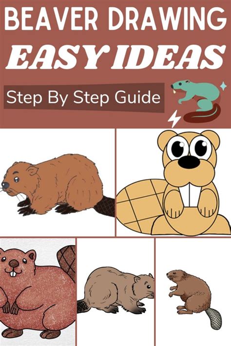 20 Beaver Drawing Ideas - How To Draw A Beaver - DIYnCrafty