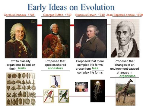 CHAPTER 29 EVOLUTION Evolution Isn T Evolution Just A Theory Ppt