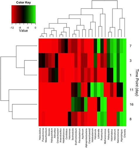 Heat Map Showing Taxa With Greater Than 2 Relative Abundance At Each Download Scientific