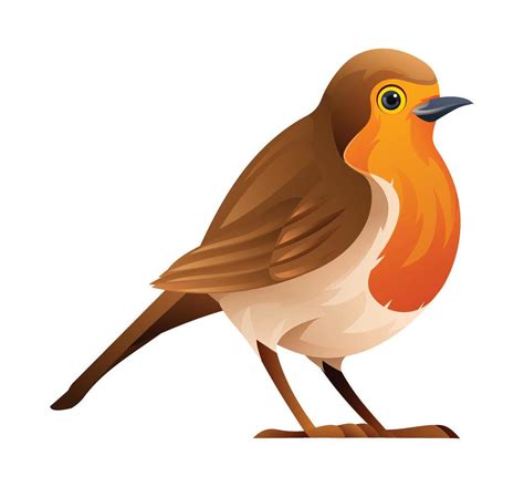 Cute Robin Bird Cartoon Illustration Isolated On White Background