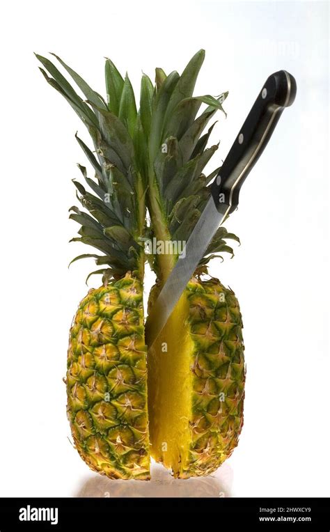 Pineapple Contains A Proteolytic Enzyme Bromelain Which Breaks Down