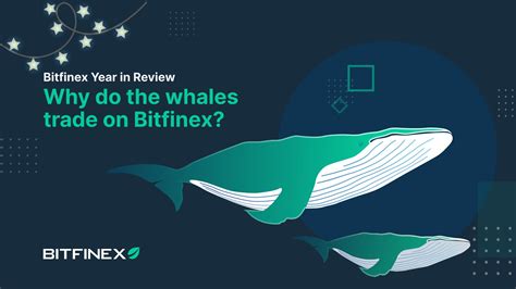 Bitfinex On Twitter As Comes To An End Lets Have A Look At