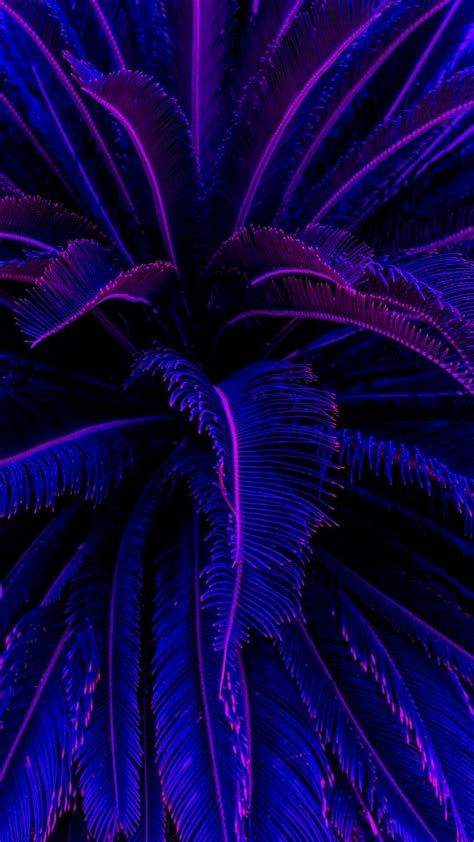 Blue And Purple Aesthetic Wallpapers Top Nh Ng H Nh Nh P