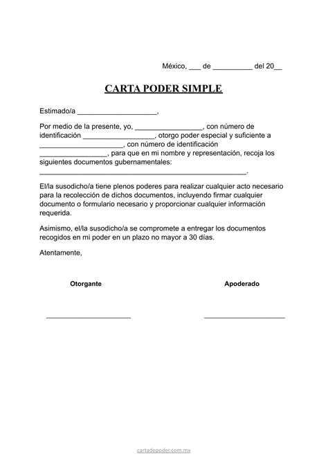 Carta Poder Simple Para Recoger Documentos Gubernamentales