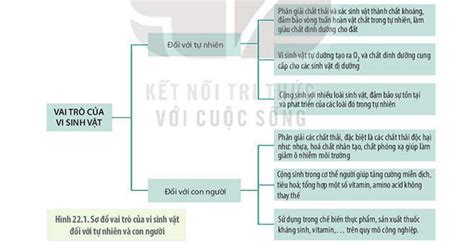 Tutorial V S Vi Sinh V T V I Chi Ti T K Thu T