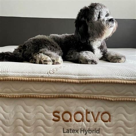 11 Best Mattress Brands - Must Read This Before Buying