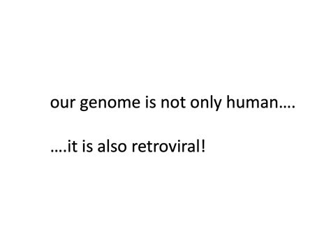 Fifty Years Of Reverse Transcriptase Thierry Heidmann Retroelements