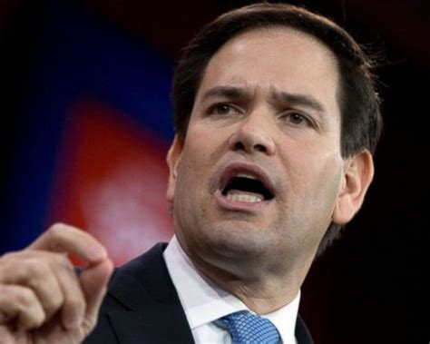 Marco Rubio Calls on USCIS to Ensure Eligible Immigrants are Able to Complete Citizenship ...