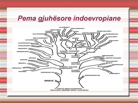 Gjuha shqipe gjuhë indoevropiane ppt download