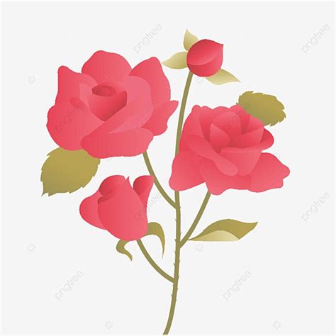 Patrones Decorativos Transparentes De Rosas Pintadas A Mano Png Flor