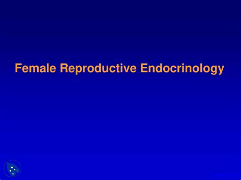 Female Reproductive Endocrinology Endocrinology Lecture Slides Docsity