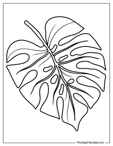 34 Leaf Coloring Pages Free Pdf Printables Artofit