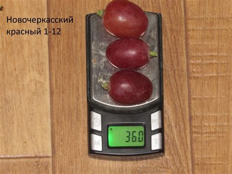 Виноград Гурман ранний: описание, фото, отзывы, технология посадки и ...