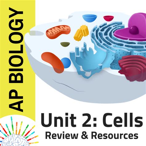 Ap Biology Unit 2 Review Resources Cell Structure And Function