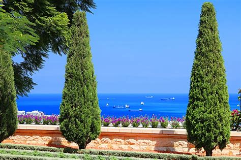 Mediterraner Garten Planzen Tipps Zum Anlegen