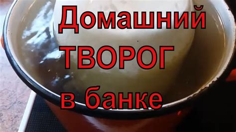 Творог Натуральный Домашний в Банке.Самый Лёгкий Рецепт! - YouTube