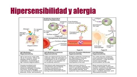 Manejo Integral De Personas Con Reacciones Alergicas En Piel Ppt