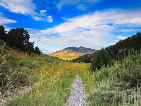 The Forgotten Path A Timeless Scene Stock Photo Image Of Forgotten