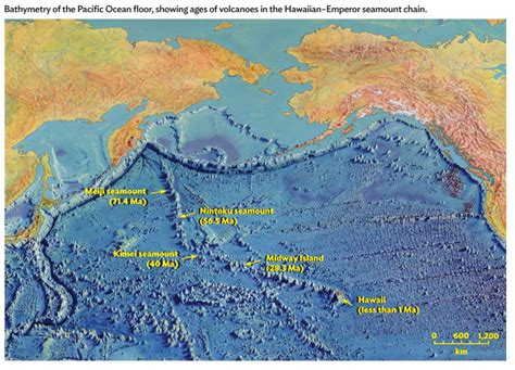 Solved The oldest volcano of the Hawaiian-Emperor seamount | Chegg.com