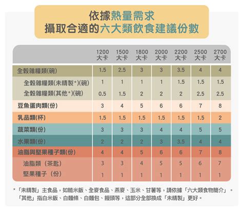 每日飲食指南台灣最新版出爐！醫師營養師圖文完整說明 美的好朋友