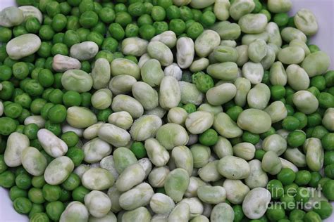 Fava Beans And Peas Photograph By Carol Groenen Pixels