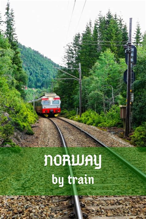 Norway by train a complete guide to rail travel – Artofit