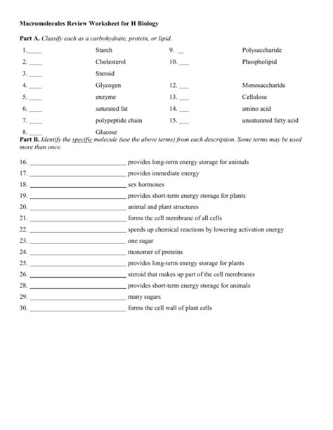 Macromolecules Worksheet