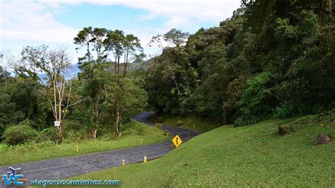 Estrada Da Graciosa Serra Do Mar Paran Viagens E Caminhos