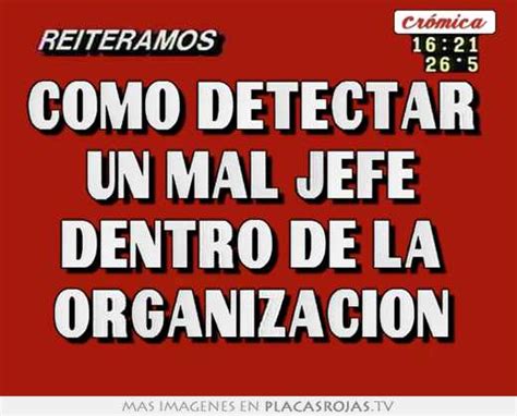 C Mo Detectar Un Mal Jefe Dentro De La Organizaci N Placas Rojas Tv