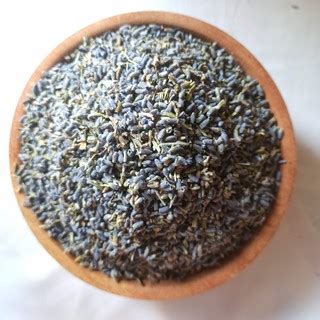 BUNGA LAVENDER KERING / TEH LAVENDER / LAVENDER TEA / TISANE LAVENDER ...