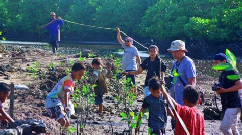 Pemerintah Targetkan Rehabilitasi Hektar Hutan Mangrove Hingga