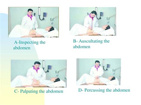 Ppt Assessment Of The Abdomen Powerpoint Presentation Free Download