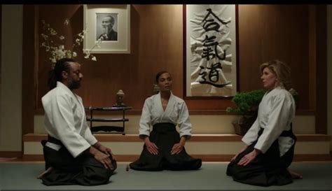 Aikido On The Good Fight - The Integral Dojo