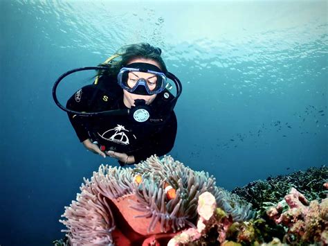 Diving In Komodo Neptune Scuba Diving Komodo Resort