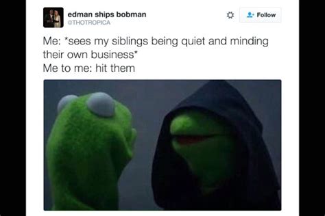 11 Of The Best Hooded Kermit Memes Heat