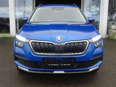 Skoda Kamiq Tsi Dsg Ambition Led Pdc Winterpaket