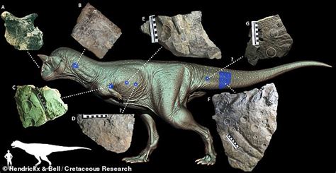 Fosil Para Ilmuwan Telah Merekonstruksi Carnotaurus Mengungkapkan