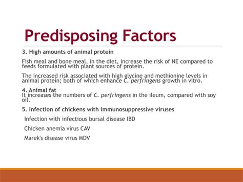 Necrotic Enteritis Ppt