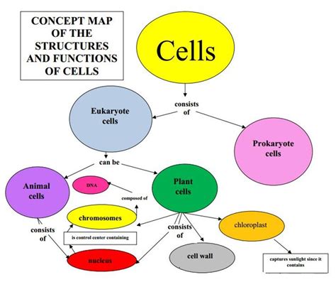 Understanding Cell Organelles Concept Map - World Map Colored Continents