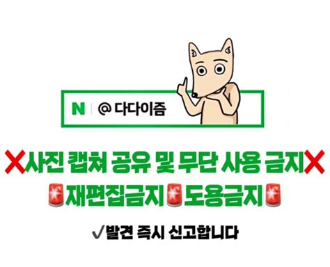 후기 다이소 신상 화장품 입큰 퍼스널 톤 치크 라이터 듀오 블러셔 하이라이터 쿨 라이터 웜 라이터 내돈내산 발색