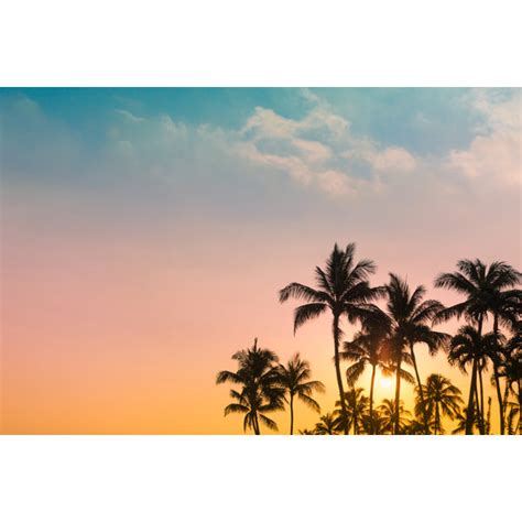 Bay Isle Home Tropical Island Sunset Wrapped Canvas Photograph